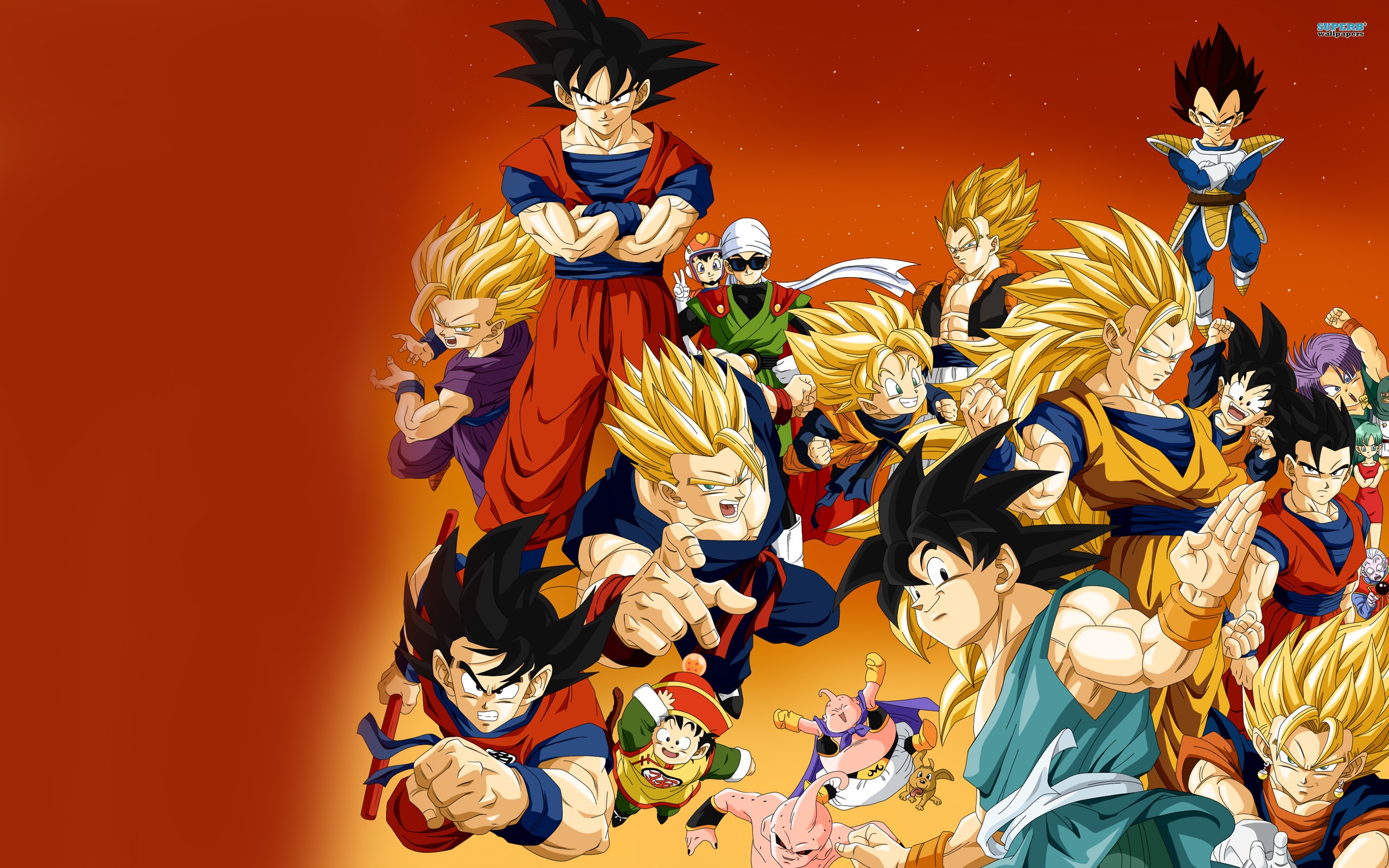 Dragon Ball Z anime